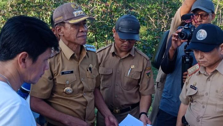 Walikota Palu Tinjau Hutan Kota