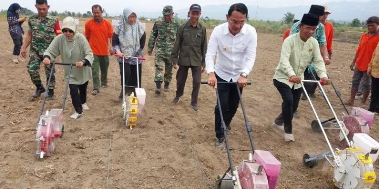 Pemkab Sigi harap Pemprov Sulteng bantu bangun jalan kantong produksi