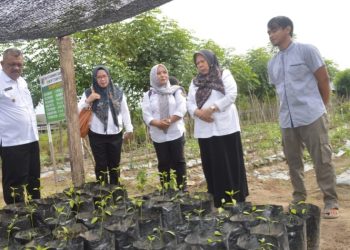 Kunjungi Kebun Demplot, Wakil Wali Kota : Mencegah Stunting Diantaranya Konsumsi Makanan Bergizi