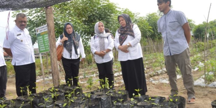 Kunjungi Kebun Demplot, Wakil Wali Kota : Mencegah Stunting Diantaranya Konsumsi Makanan Bergizi