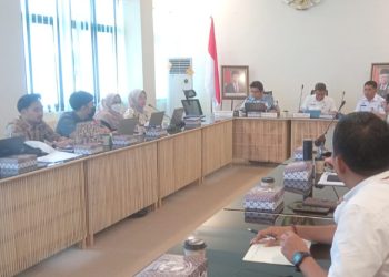 Penerapan Sistem Merit Ciptakan ASN Kota Palu Yang Profesional