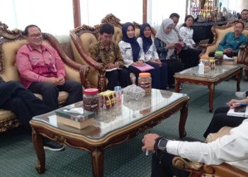 ANRI Akan Digitalisasikan Kearsipan di Kota Palu