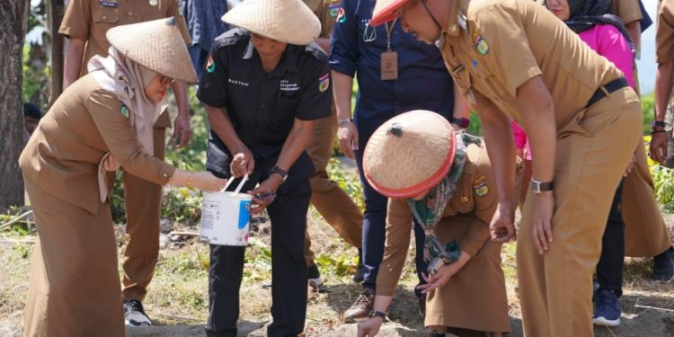 Perumda Kota Palu Akan Jadikan Kelurahan Taipa Menjadi Kampung Bawang Goreng