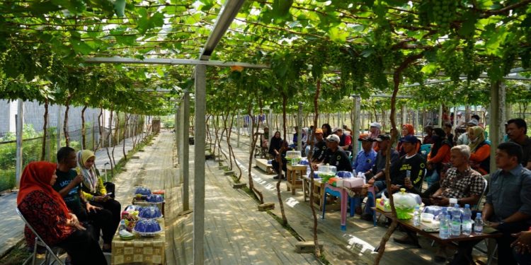 Reny A. Lamadjido Dampingi Rusdy Mastura Bertemu Kelompok Petani Anggur Di Kelurahan Duyu Kota Palu