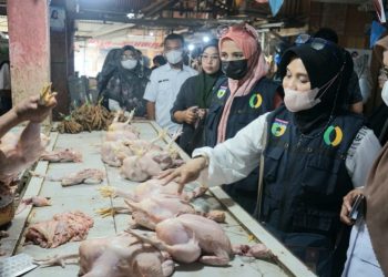 Jelang Nataru Satgas Pangan Sidak Ke Pasar Manonda Palu, Temukan Ayam Potong Disuntik Angin