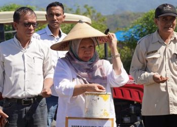 Gerakan Tanam Bawang Merah Lembah Palu, Wawali Reny A Lamadjido Secara Simbolis Memulai Penanaman Bawang Merah