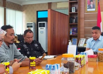 Tingkatkan PAD, Bayar Parkir Pakai Karcis Solusi Jitu Pemkot Palu