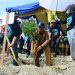 Hari Air Sedunia Tahun 2024, Pemkot Lakukan Penanaman Pohon Diperbatasan Palu-Sigi