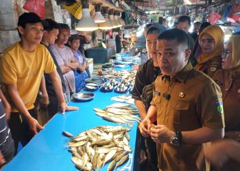 Wali Kota Palu Pastikan Ikan di Pasar Masomba Palu Aman Tidak Mengandung Formalin