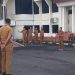 Wali Kota Pimpin Langsung Apel Pagi Dilingkungan Setda Kota Palu