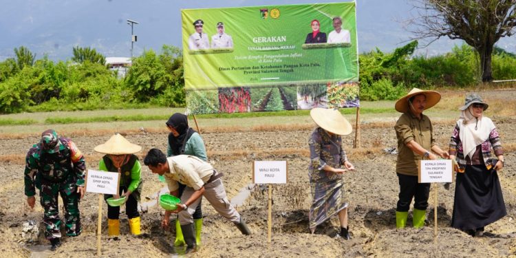 Pemkot Palu Lakukan Gerakan Tanam Bawang Bersama Kelompok Tani Larapoindo Dalam Rangka Pengendalian Inflasi