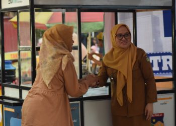 Irmayanti Pettalolo Serahkan Bantuan 50 Unit Gerobak Kepada Pelaku UMKM di Kota Palu