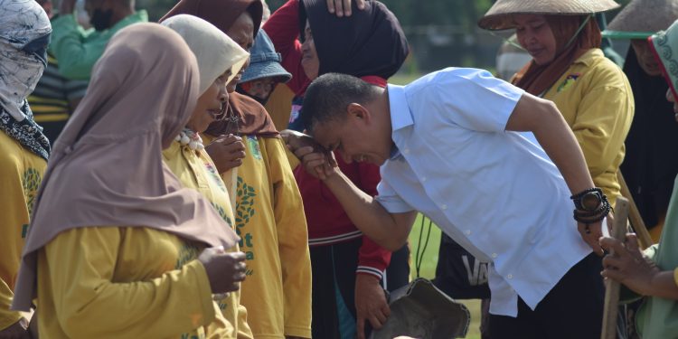 Cuti Dalam Rangka Pelaksanaan Pilkada Tahun 2024, Hadianto Rasyid Pamit ke Padat Karya