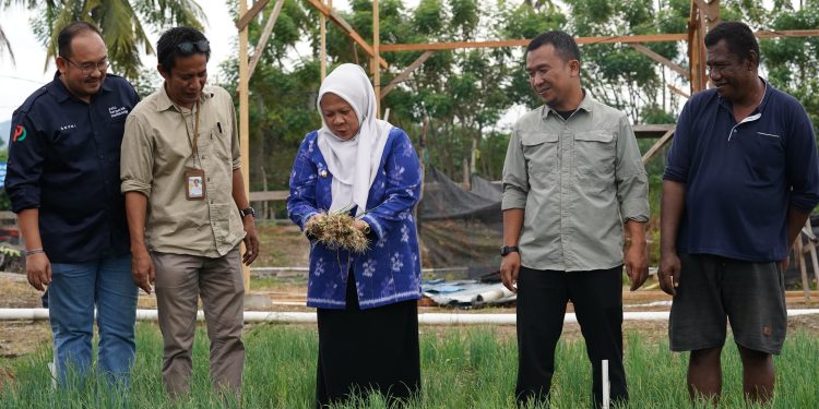 Wawali Palu Kunjungi Lokasi Usaha Bawang Goreng Kolaborasi Perumda Kota Palu dan Kelompok Tani Tanantovea