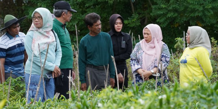 Kunjungan Kerja di Kelurahan Mamboro, Ini Pesan Wawali Palu