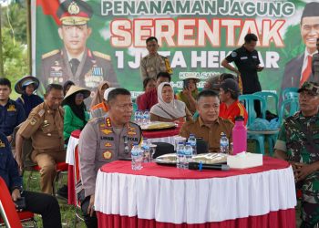 Dukung Program Swasembada Pangan 2025, Wali Kota dan Kapolresta Palu Tanam Jagung di Kelurahan Petobo