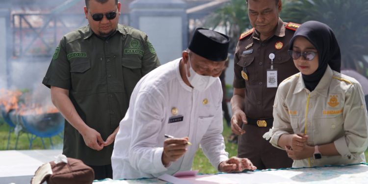 Asisten Pemerintahan dan Kesra Hadiri Pemusnahan Babuk Tindak Pidana Narkoba