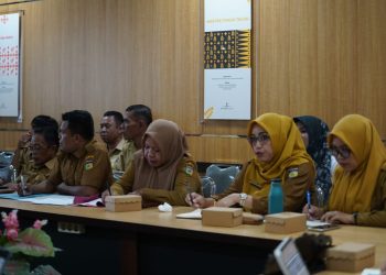 Wawali Imelda Ikuti Verifikasi dan Validasi Data Dukung KKS Tahun 2025 Secara Virtual