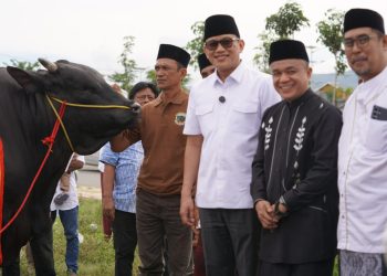 Wali Kota Hadianto Terima Bantua Hewan Qurban dari Presiden Prabowo Untuk Warga Huntap Petobo