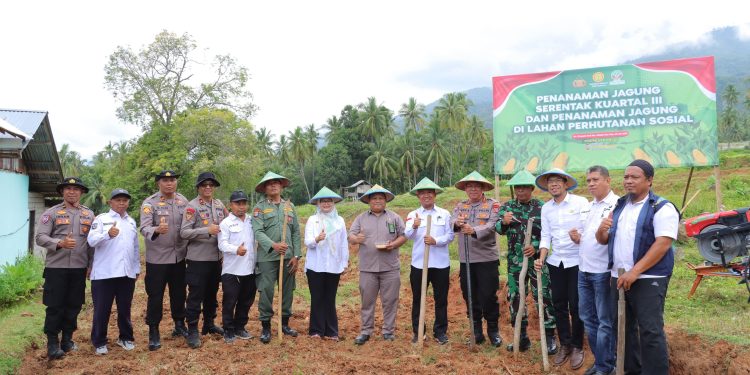 Pemkot Dan Polresta Palu Gelar Penanaman Jagung Serentak Kuartal III Tahun 2025