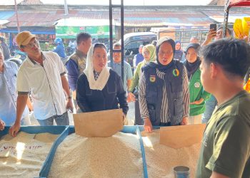 Wawali Imelda Pimpin Langsung Sidak Di Pasar Masomba Palu, Pantau Ketersediaan Pasokan dan Perkembangan Harga Komoditi Pangan Strategis
