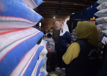 Wawali Imelda Bersama Satgas Pangan Sidak Distributor Beras di Pasar Masomba Palu