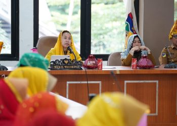 Wawali Imelda Ikuti Verifikasi Lanjutan KKS Secara Virtual