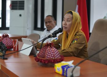 Wawali Imelda Buka Seminar Akhir Dokumen Analisis Indeks Ketimpangan Wilayah Kota Palu