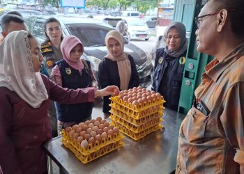 Pantau Perkembangan Harga dan Stok, Wawali Imelda Sidak Distributor Telur Ayam