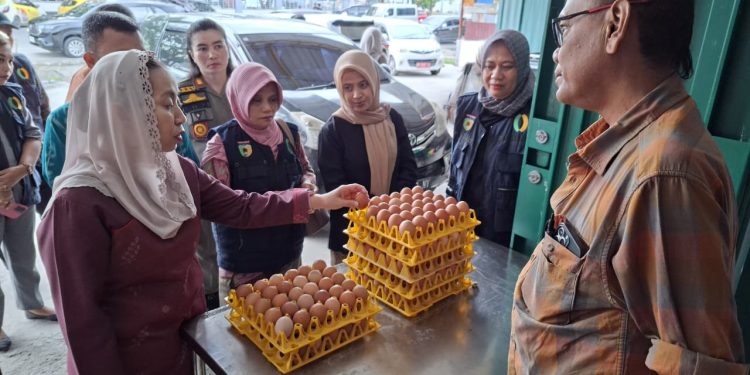 Pantau Perkembangan Harga dan Stok, Wawali Imelda Sidak Distributor Telur Ayam