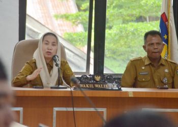 Wawali Imelda Buka Seminar Kajian Studi Kelayakan Elevated Road Pengembangan UMKM Berbasis Wisata