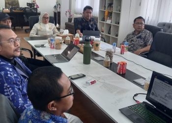 Sekda Kota Palu Ikuti Sosialisasi Pemanfaatan Dana Insentif Fiskal Penurunan Stunting Bersama Kemenko PMK RI